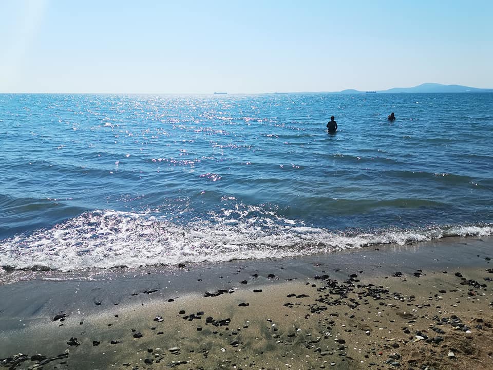 Rejuvenation